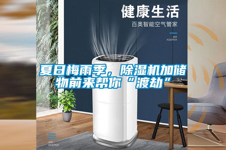 欧美黄色电影在线播放 夏日梅雨季，除湿机加储物前来帮你“渡劫”