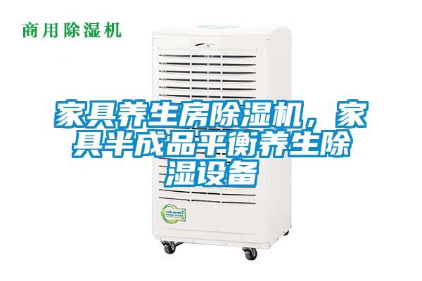 欧美黄色性爱视频网站 家具养生房除湿机，家具半成品平衡养生除湿设备