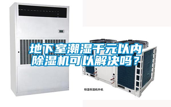 欧美黄色电影在线播放 地下室潮湿千元以内除湿机可以解决吗？