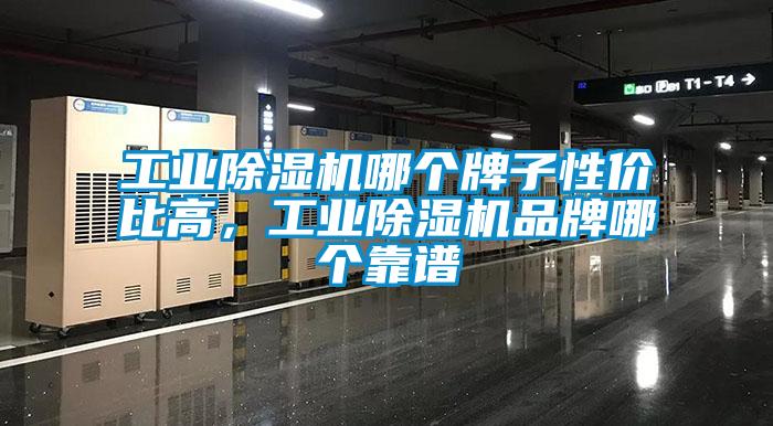 欧美黄色性爱视频网站 工业除湿机哪个牌子性价比高，工业除湿机品牌哪个靠谱
