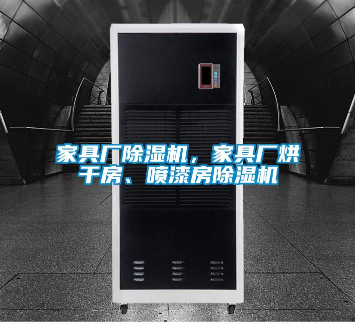 欧美黄色性爱视频网站 家具厂除湿机，家具厂烘干房、喷漆房除湿机