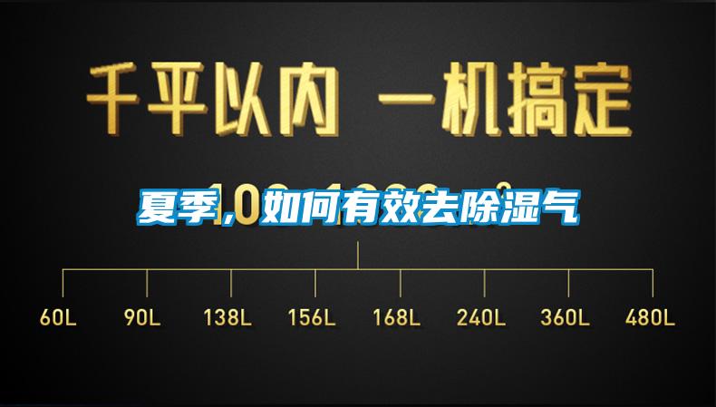 欧美黄色性爱视频网站 夏季，如何有效去除湿气