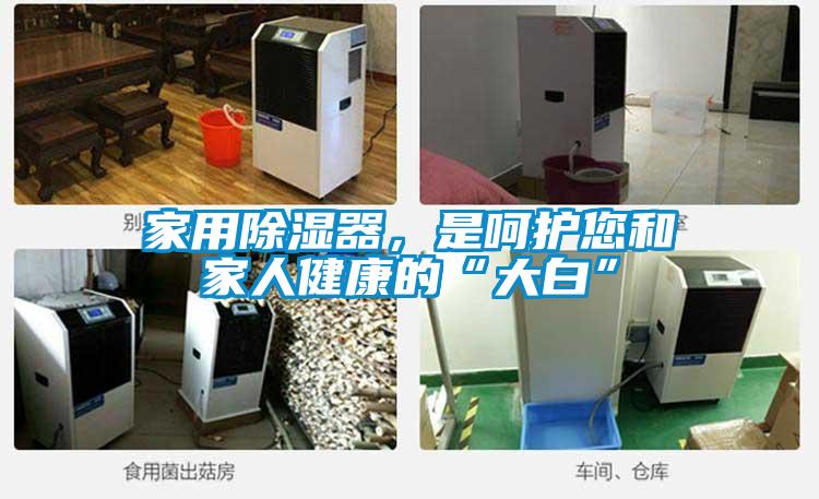 欧美黄色性爱视频网站 家用除湿器，是呵护您和家人健康的“大白”