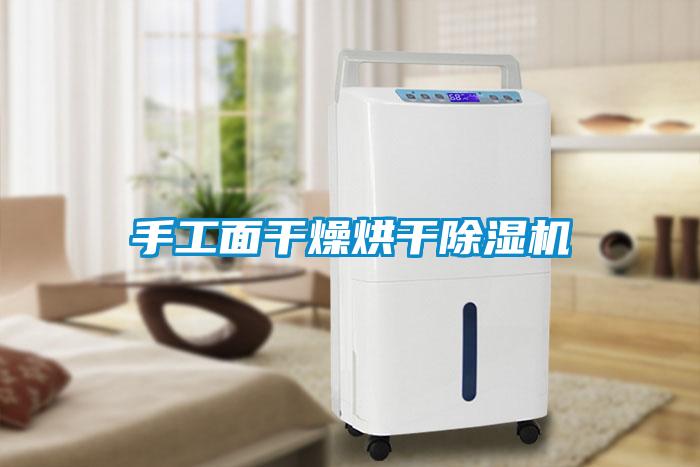 欧美黄色电影在线播放 手工面干燥烘干除湿机