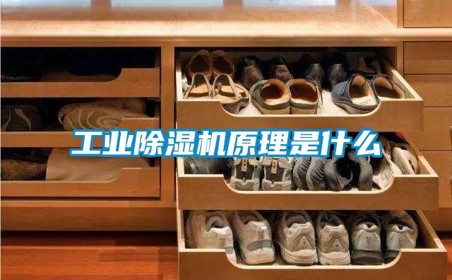 欧美成色手机在线观看 工业除湿机原理是什么