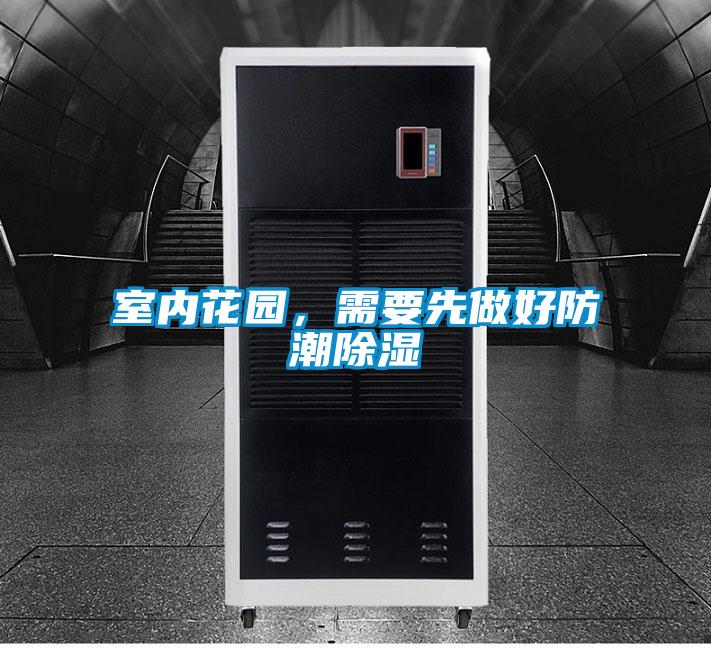欧美黄色电影在线播放 室内花园，需要先做好防潮除湿