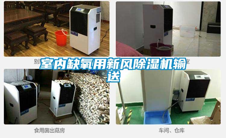 欧美成色手机在线观看 室内缺氧用新风除湿机输送
