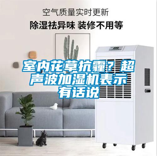 欧美黄色性爱视频网站 室内花草抗霾？超声波加湿机表示有话说