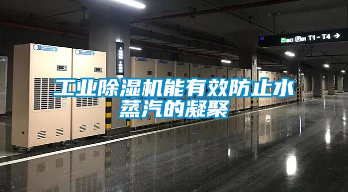 欧美黄色性爱视频网站 工业除湿机能有效防止水蒸汽的凝聚