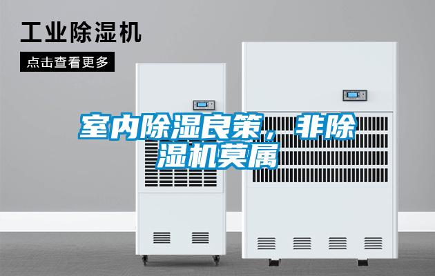 欧美黄色性爱视频网站 室内除湿良策，非除湿机莫属