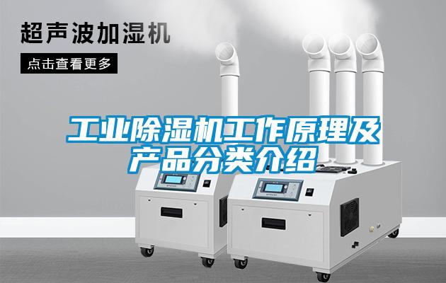 欧美黄色电影在线播放 工业除湿机工作原理及产品分类介绍