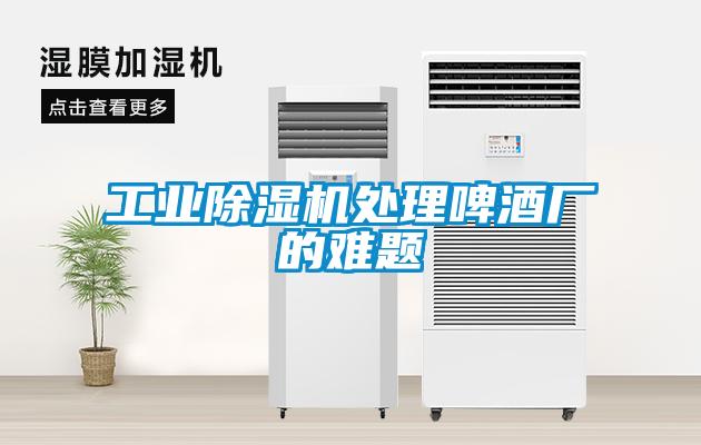 欧美黄色性爱视频网站 工业除湿机处理啤酒厂的难题