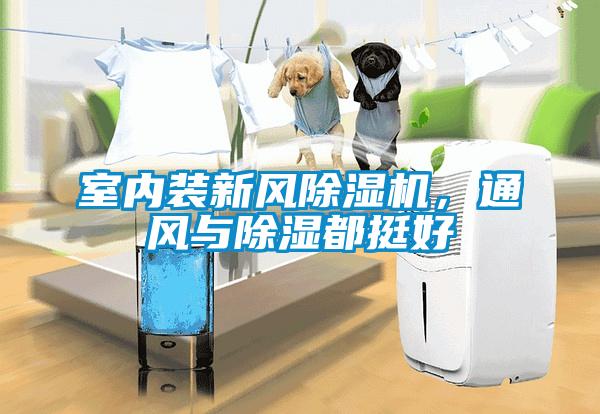 欧美黄色电影在线播放 室内装新风除湿机，通风与除湿都挺好
