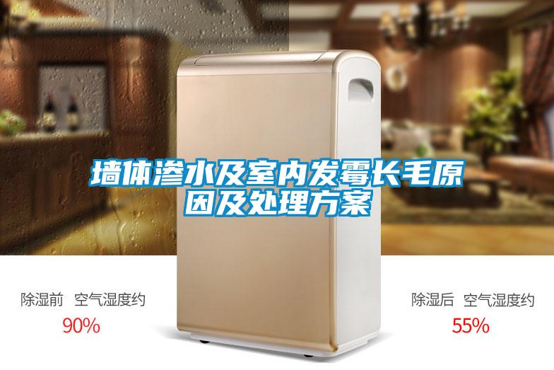 欧美黄色电影在线播放 墙体渗水及室内发霉长毛原因及处理方案