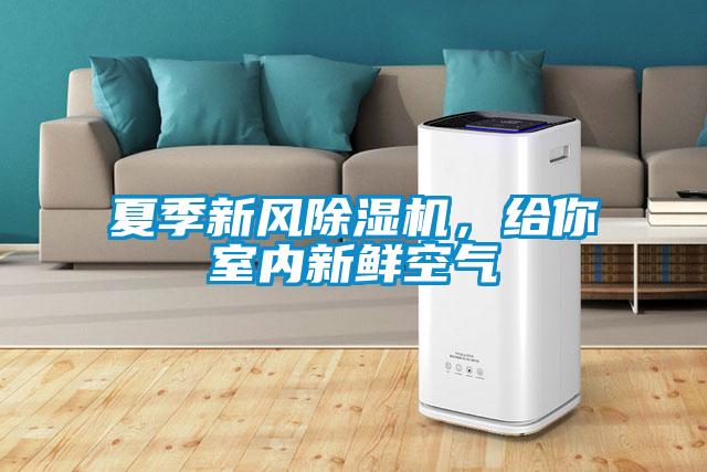 欧美黄色性爱视频网站 夏季新风除湿机，给你室内新鲜空气