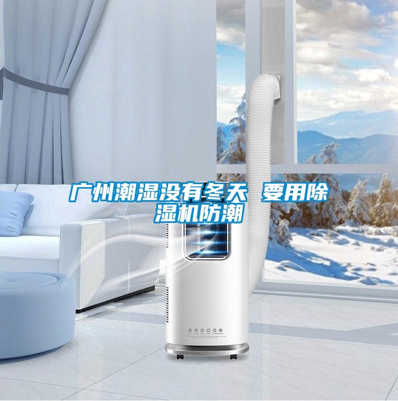 欧美黄色性爱视频网站 广州潮湿没有冬天 要用除湿机防潮