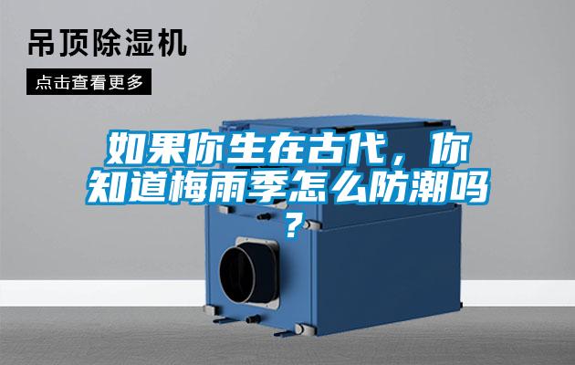 欧美黄色电影在线播放 如果你生在古代，你知道梅雨季怎么防潮吗？