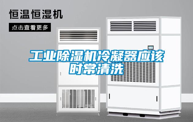 欧美黄色性爱视频网站 工业除湿机冷凝器应该时常清洗