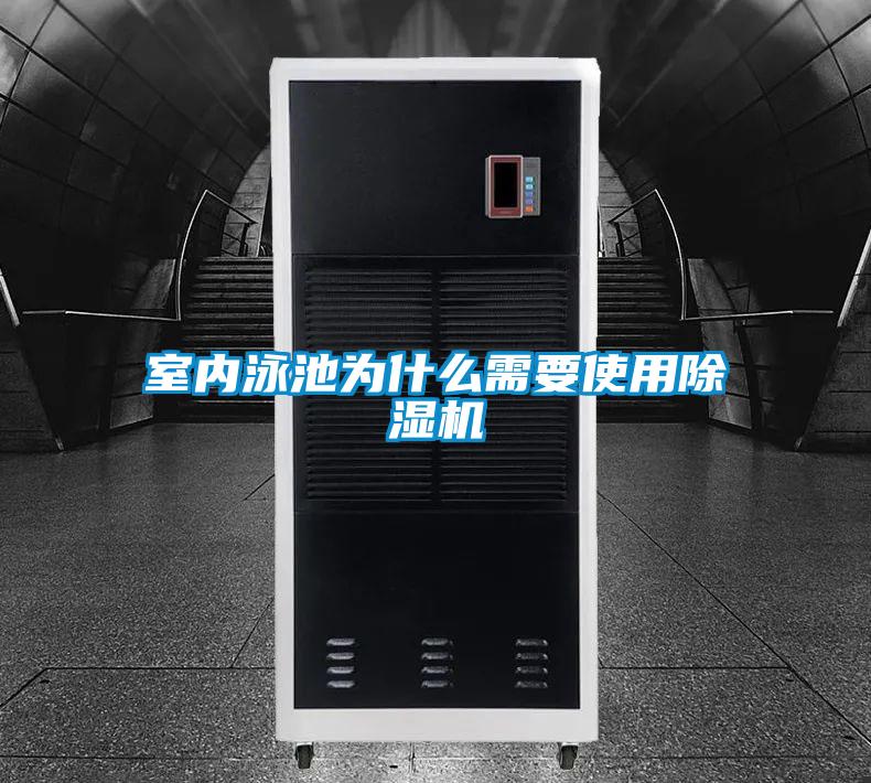 欧美黄色性爱视频网站 室内泳池为什么需要使用除湿机