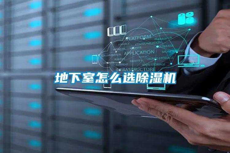 欧美黄色性爱视频网站 地下室怎么选除湿机