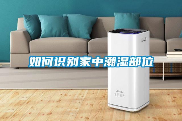 欧美黄色性爱视频网站 如何识别家中潮湿部位