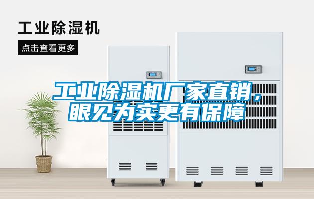 欧美成色手机在线观看 工业除湿机厂家直销，眼见为实更有保障