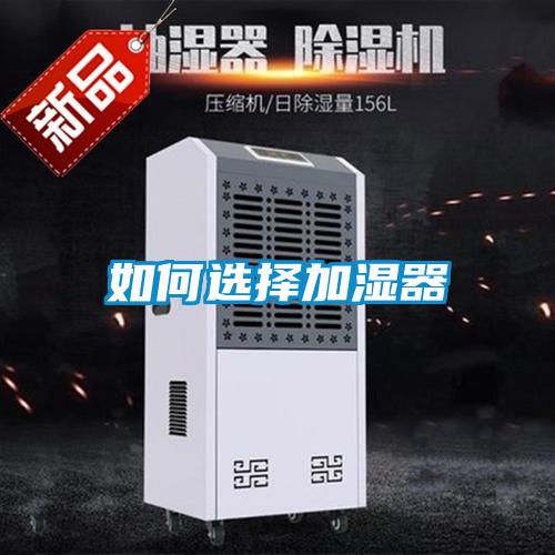 欧美成色手机在线观看 如何选择加湿器