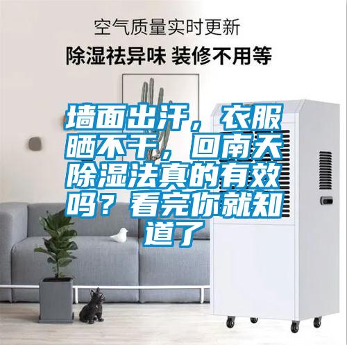欧美黄色性爱视频网站 墙面出汗，衣服晒不干，回南天除湿法真的有效吗？看完你就知道了