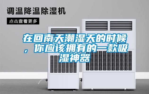 欧美黄色电影在线播放 在回南天潮湿天的时候，你应该拥有的一款吸湿神器