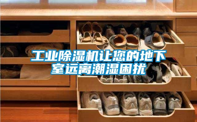 欧美黄色性爱视频网站 工业除湿机让您的地下室远离潮湿困扰