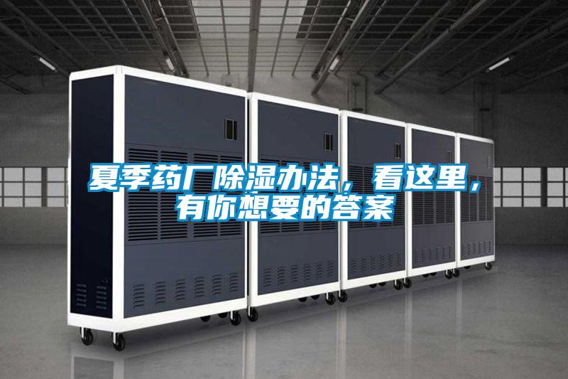 欧美黄色电影在线播放 夏季药厂除湿办法，看这里，有你想要的答案