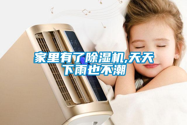 欧美成色手机在线观看 家里有了除湿机,天天下雨也不潮
