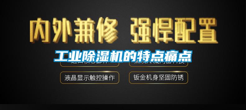 欧美黄色性爱视频网站 工业除湿机的特点痛点
