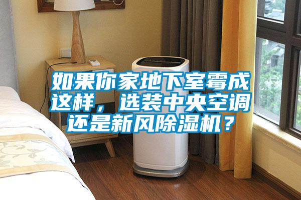 欧美黄色性爱视频网站 如果你家地下室霉成这样，选装中央空调还是新风除湿机？