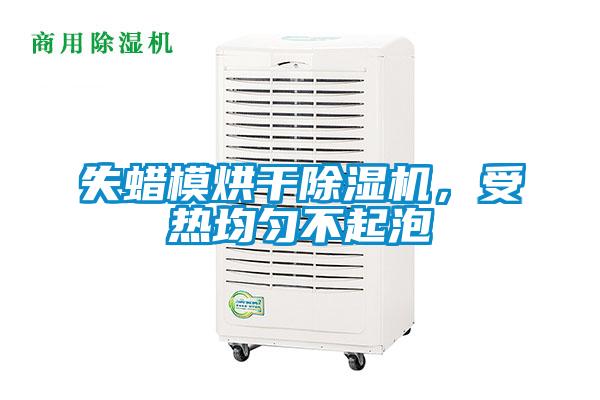 欧美黄色电影在线播放 失蜡模烘干除湿机，受热均匀不起泡