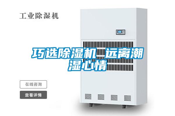 欧美黄色性爱视频网站 巧选除湿机 远离潮湿心情