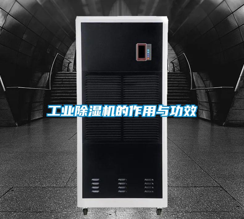 欧美黄色电影在线播放 工业除湿机的作用与功效