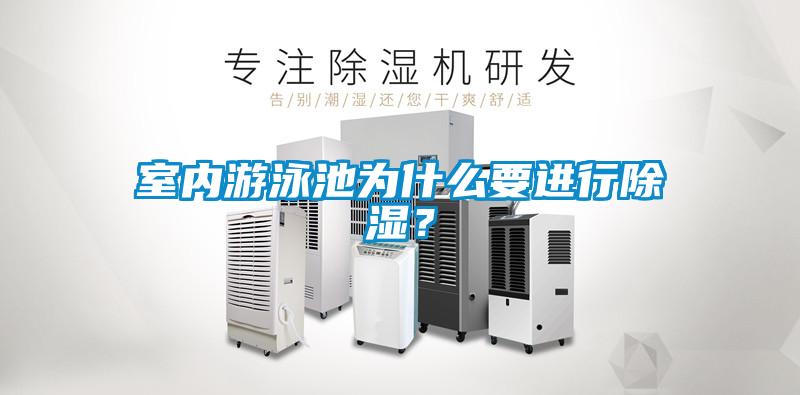 欧美黄色电影在线播放 室内游泳池为什么要进行除湿？