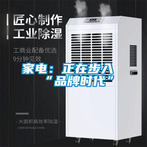 欧美成色手机在线观看 家电：正在步入“品牌时代”