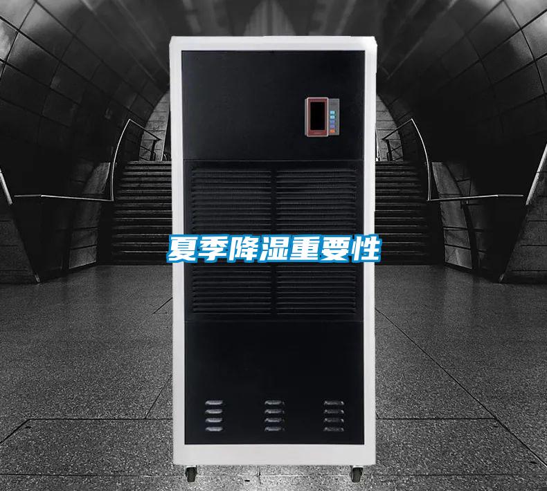 欧美黄色性爱视频网站 夏季降湿重要性