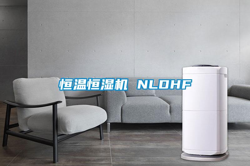 欧美黄色电影在线播放 恒温恒湿机 NLDHF