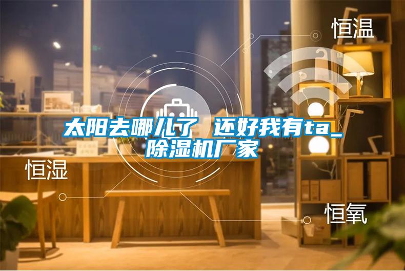 欧美黄色电影在线播放 太阳去哪儿了 还好我有ta_除湿机厂家