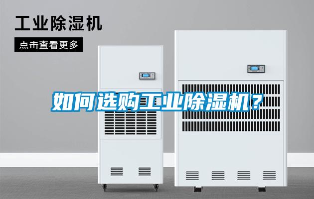 欧美成色手机在线观看 如何选购工业除湿机？