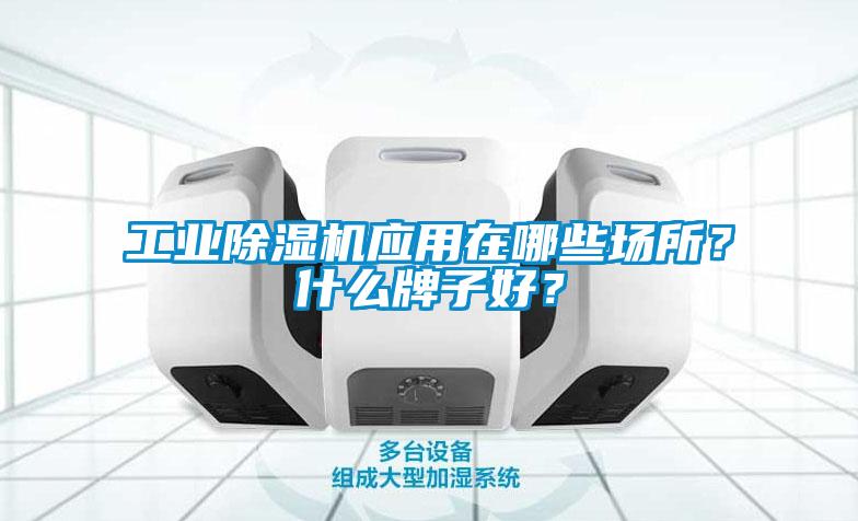 欧美成色手机在线观看 工业除湿机应用在哪些场所？什么牌子好？