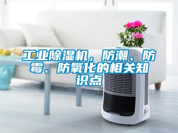 欧美黄色电影在线播放 工业除湿机，防潮、防霉、防氧化的相关知识点