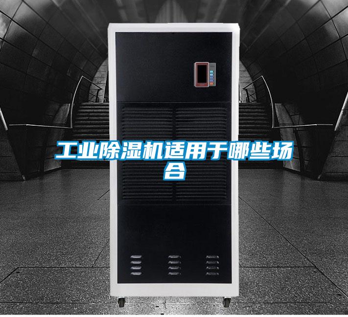 欧美成色手机在线观看 工业除湿机适用于哪些场合