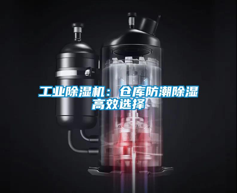 欧美成色手机在线观看 工业除湿机：仓库防潮除湿高效选择