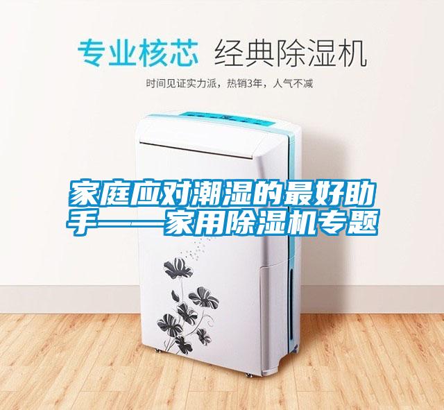 欧美成色手机在线观看 家庭应对潮湿的最好助手——家用除湿机专题