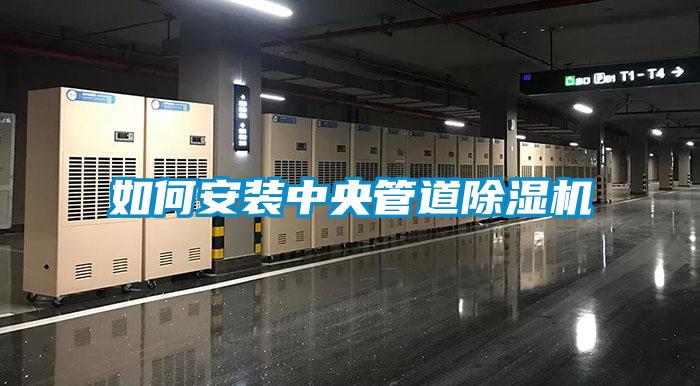 欧美成色手机在线观看 如何安装中央管道除湿机