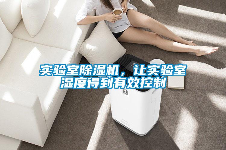 欧美黄色电影在线播放 实验室除湿机，让实验室湿度得到有效控制
